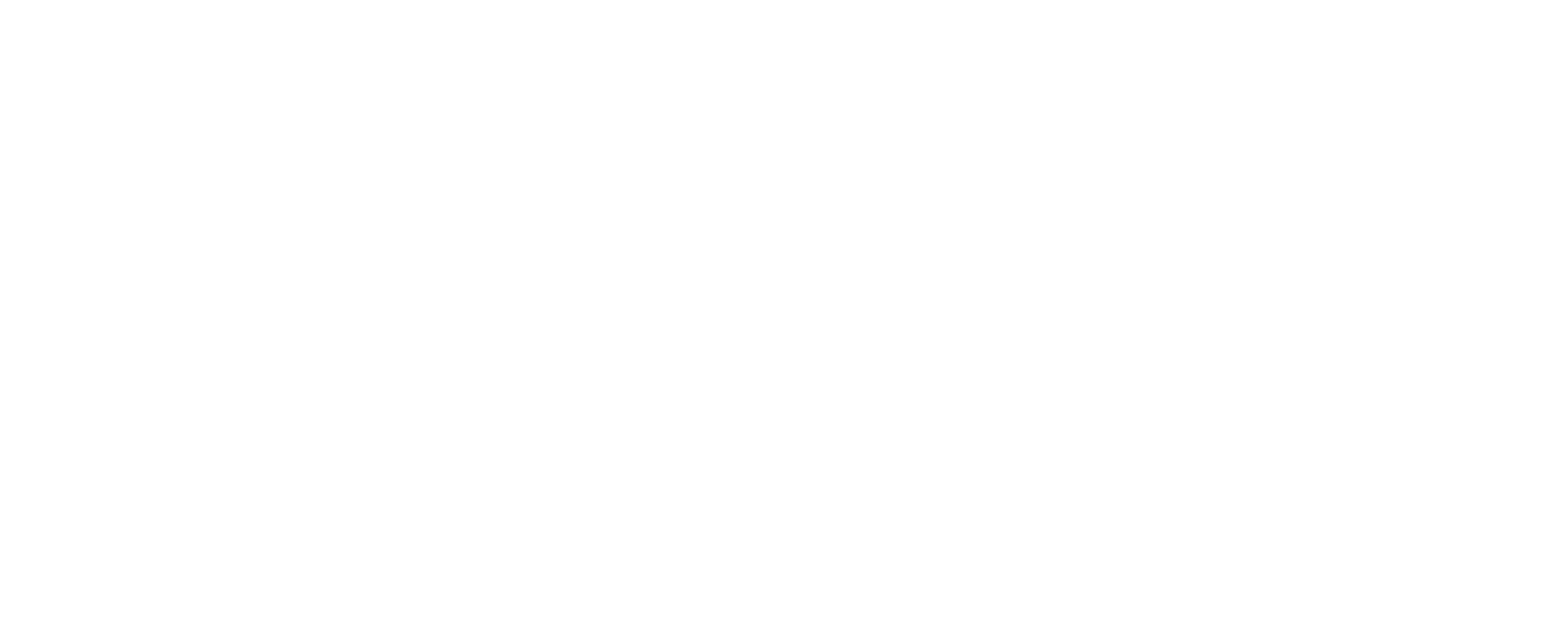 Logo blanc Tactique par l’Optimiste