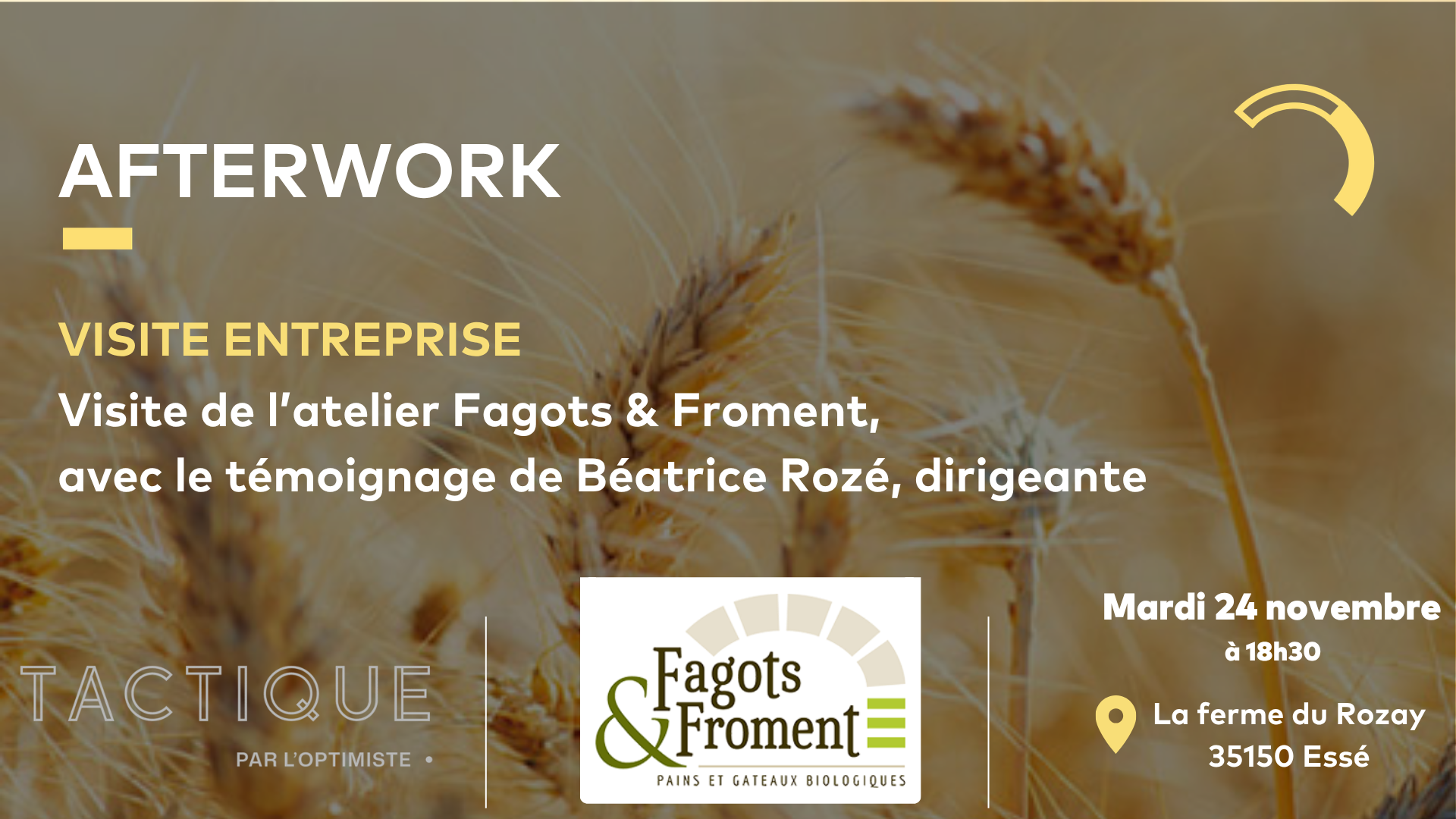 visite vannes nov26